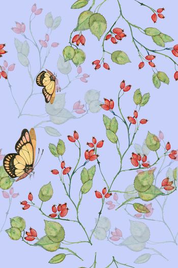 622656-水彩蝴蝶2