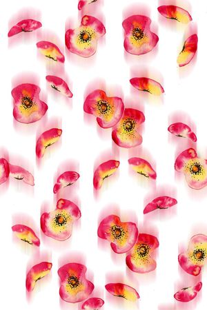 清新印花华亿平台图片