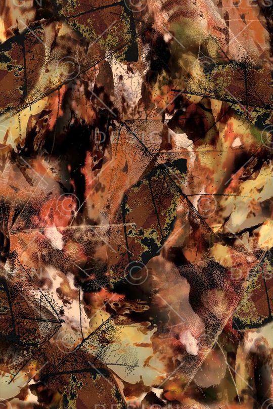 女装印花华亿平台图片