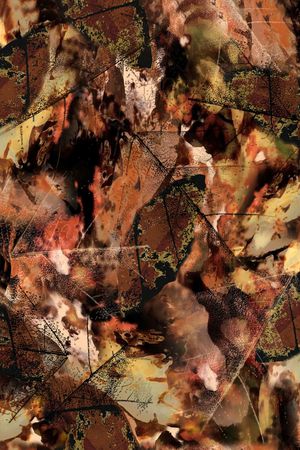 女装印花华亿平台图片