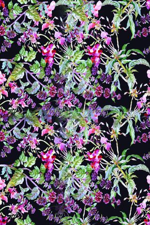 零点--女装印花华亿平台图片