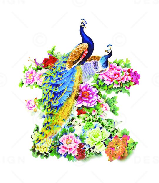 孔雀印花华亿平台图片