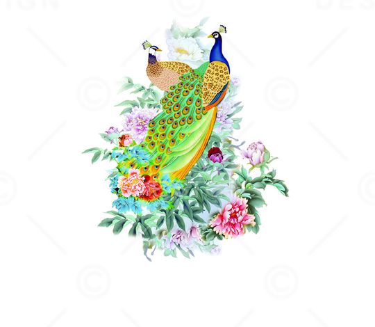 孔雀印花华亿平台图片