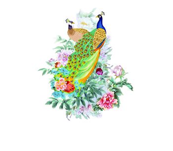 孔雀印花华亿平台图片