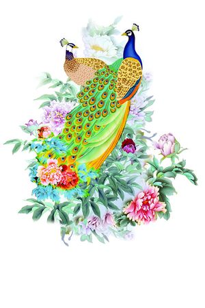 孔雀印花华亿平台图片