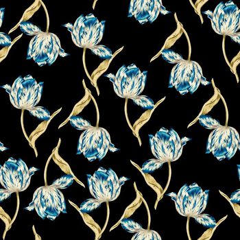 622851-大花三色堇