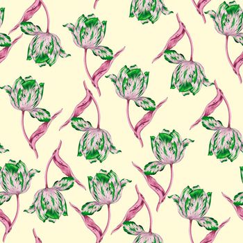 622852-大花三色堇绿