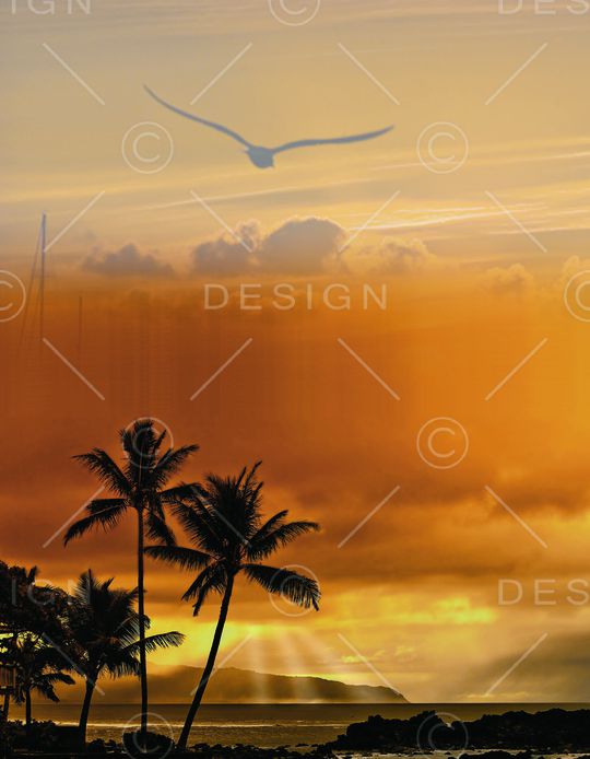 椰树印花华亿平台图片