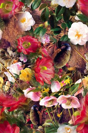 花朵印花华亿平台图片