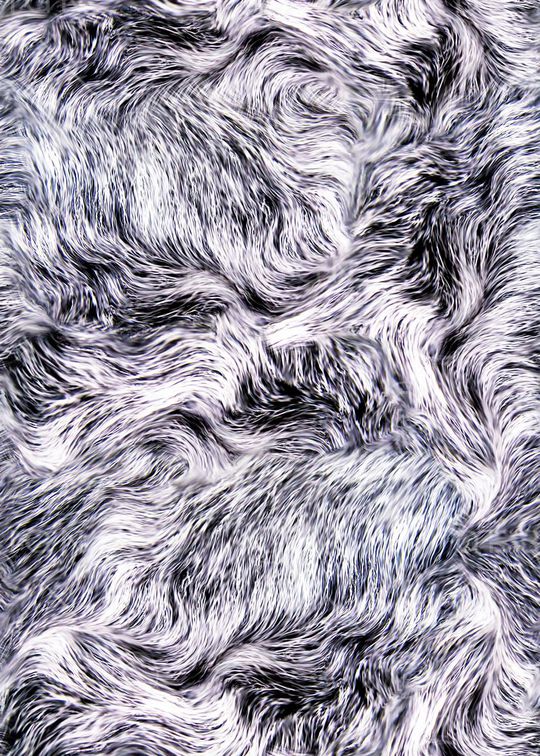 动物纹印花华亿平台图片