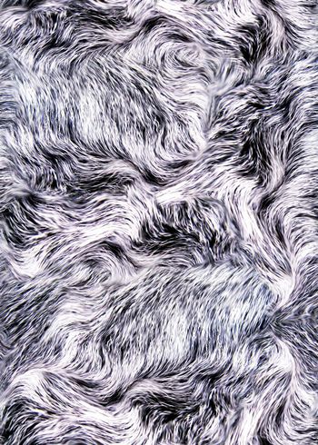 622950-wal-16428-1-1