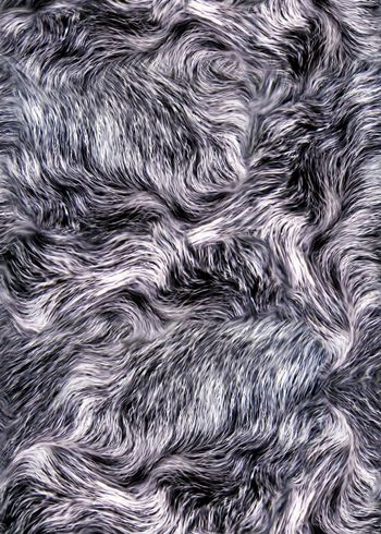 622951-wal-16428-1-2