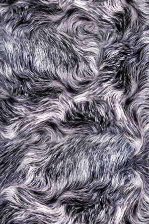 动物纹印花华亿平台图片