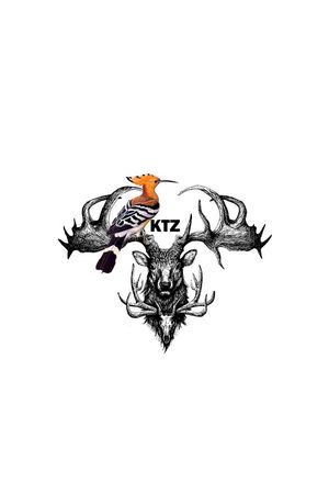 鹿角印花华亿平台图片