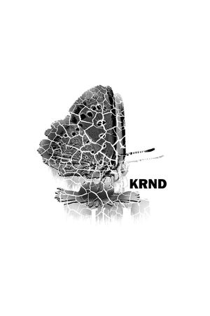 蝴蝶印花华亿平台图片