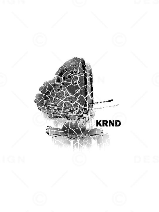 蝴蝶印花华亿平台图片