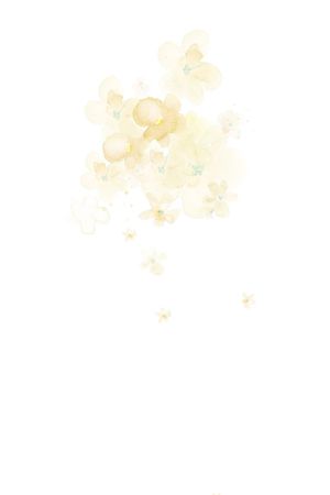 数码印花华亿平台图片