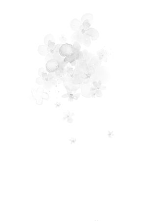 数码印花华亿平台图片