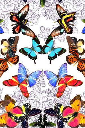 昆虫印花华亿平台图片