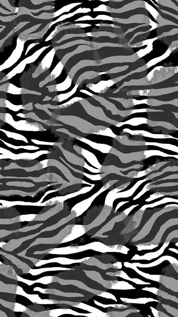 623498-lan-2016-50b0