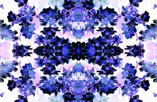 紫色印花华亿平台图片