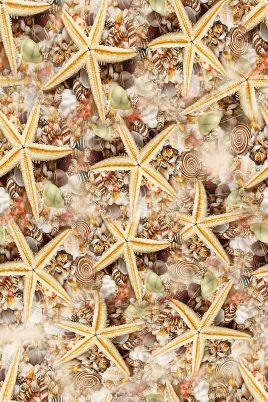 海星印花华亿平台图片