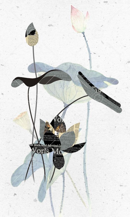 荷花印花华亿平台图片