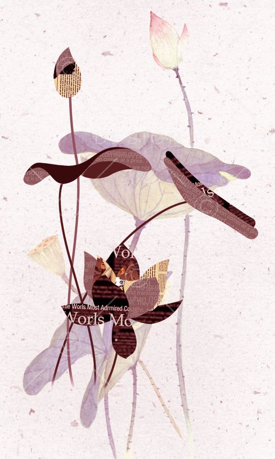 荷花印花华亿平台图片