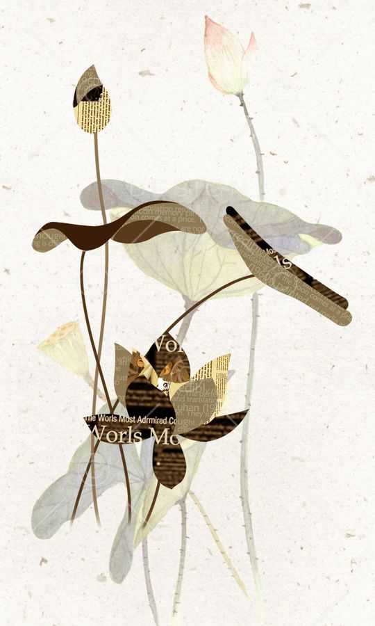 荷花印花华亿平台图片