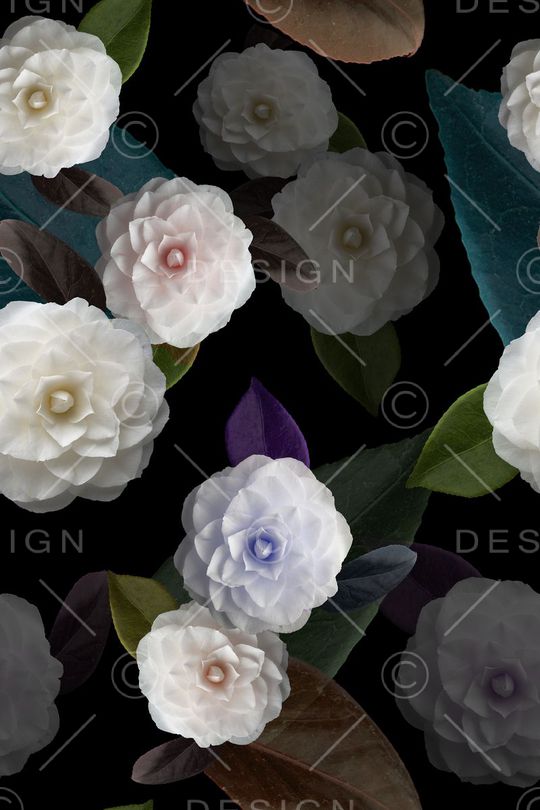 兰花印花华亿平台图片