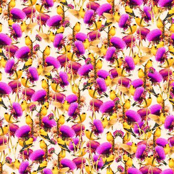 623804-小鸟扫把花