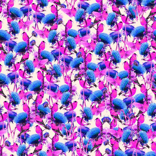 花朵印花华亿平台图片