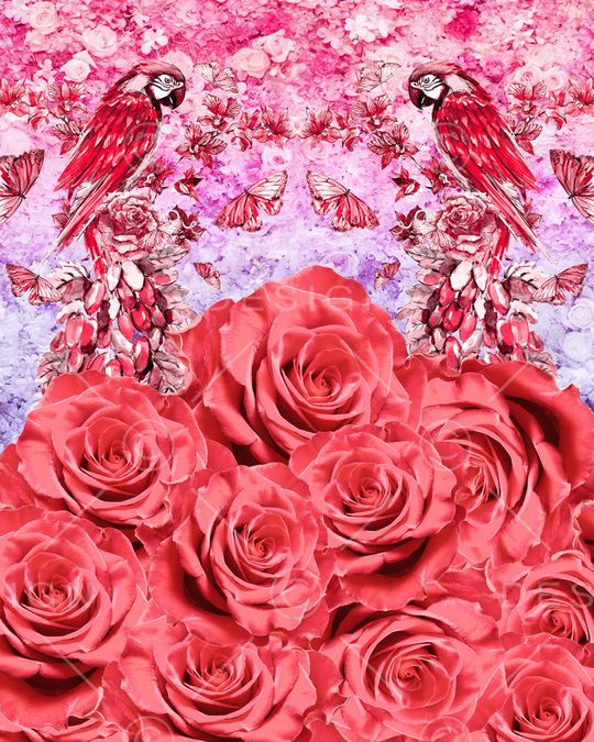 时尚T恤女装印花华亿平台图片