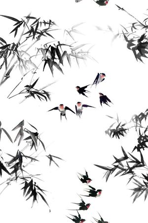 此华亿平台为1/2跳接印花华亿平台图片