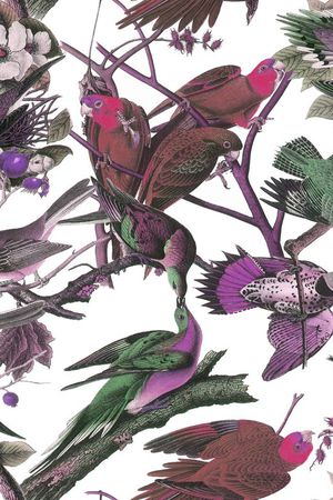 鸟印花华亿平台图片