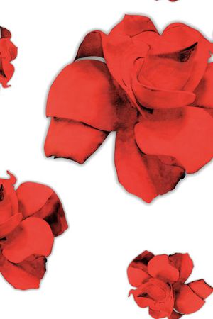 牡丹印花华亿平台图片