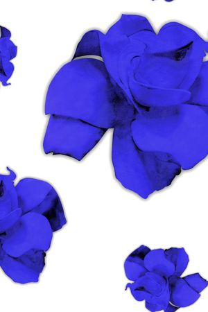 牡丹印花华亿平台图片