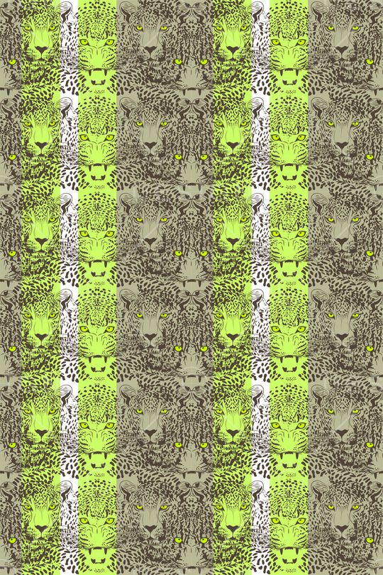 2017印花华亿平台图片