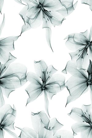 时尚手绘华亿平台数码印花印花华亿平台图片