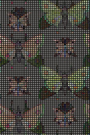 格子印花华亿平台图片