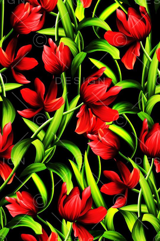 时尚女装印花华亿平台图片