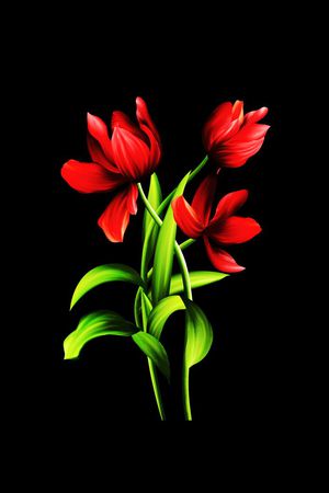 时尚女装印花华亿平台图片