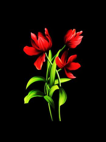 624469-定位女装HM4