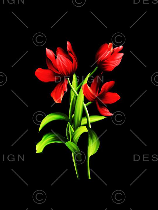 时尚女装印花华亿平台图片