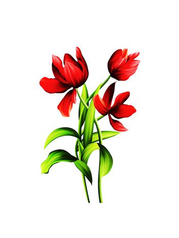 时尚女装印花华亿平台图片