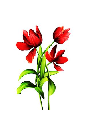 时尚女装印花华亿平台图片