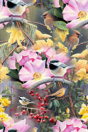 花鸟印花华亿平台图片