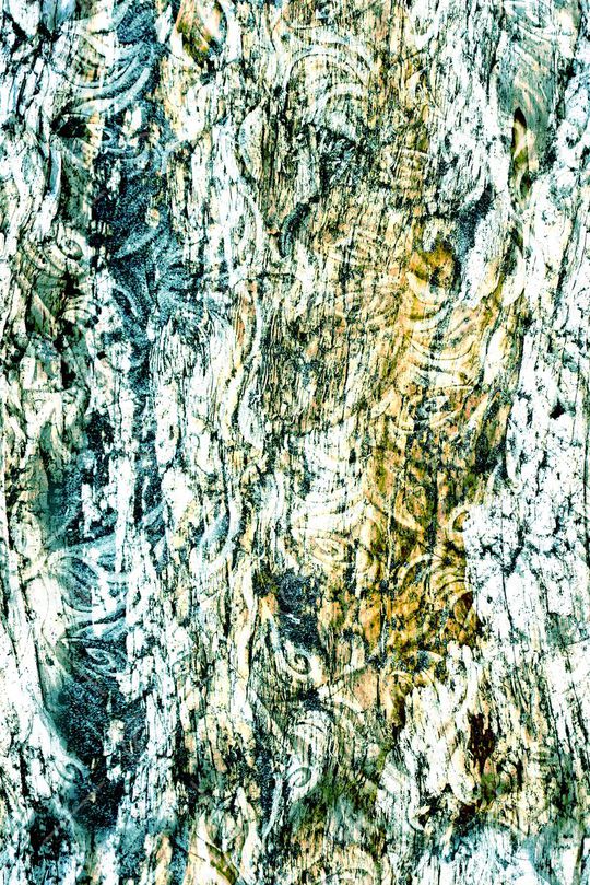 纹理印花华亿平台图片