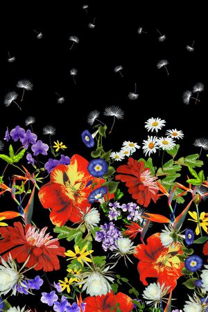 蒲公英印花华亿平台图片