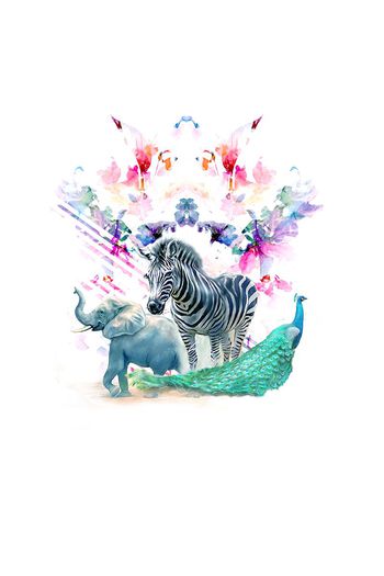 动物印花华亿平台图片